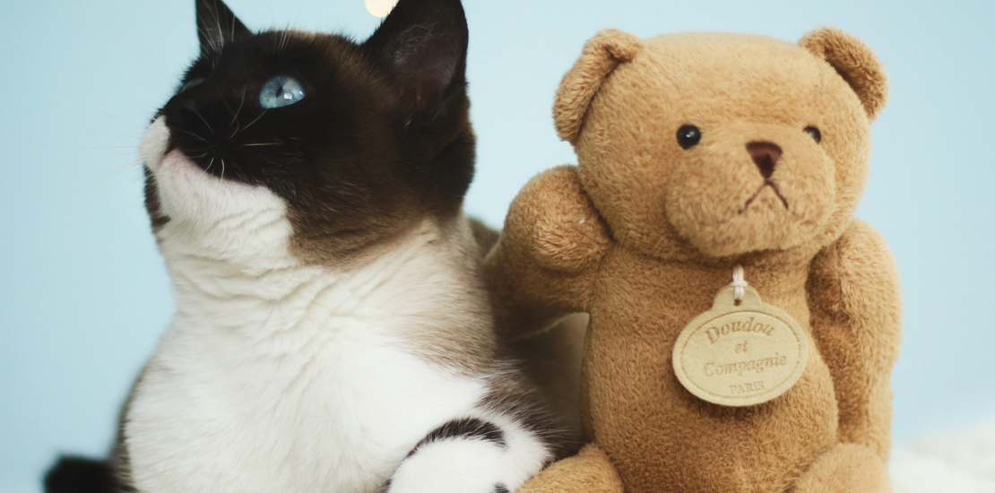 doggycatgifts.com