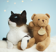 doggycatgifts.com