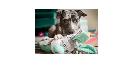 doggycatgifts.com