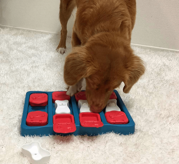 doggycatgifts.com