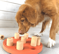 doggycatgifts.com